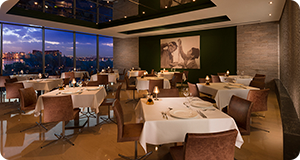 Dubai Holiday Direct Photo Gallery Photo Gallery