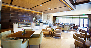 Dubai Holiday Direct Photo Gallery Photo Gallery