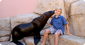 Dubai Holiday Direct Photo Gallery Photo Gallery