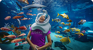 Dubai Holiday Direct Photo Gallery Photo Gallery