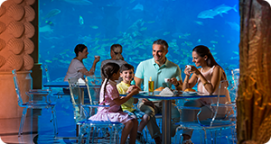 Dubai Holiday Direct Photo Gallery Photo Gallery