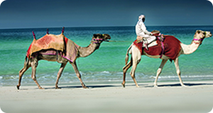 Dubai Holiday Direct Photo Gallery Photo Gallery
