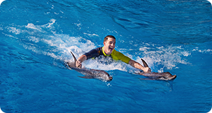 Atlantis, The Palm