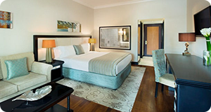 Habtoor Grand Resort & Spa