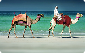 Dubai Holiday Direct